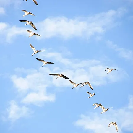 Haushaelfte Udars Casa vacanze *